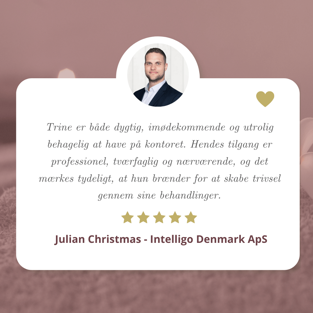 Anmeldelse_Julian_Christmas_Intelligo